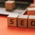 professional seo for ranking