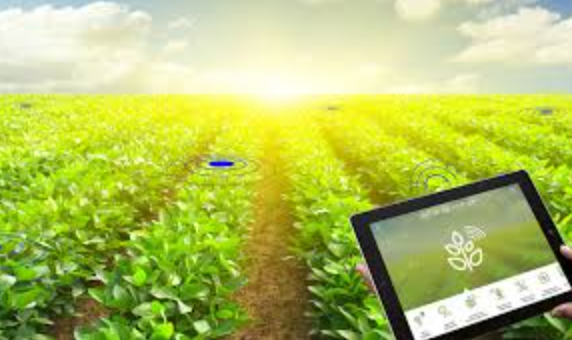 IoT Applications in Modern Farming