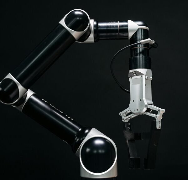 dynamic digital system web engine